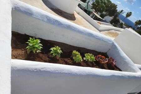 Fantastico Apartamento Con Terraza Y Vistas Al Mar Costa Teguise Eksteriør bilde